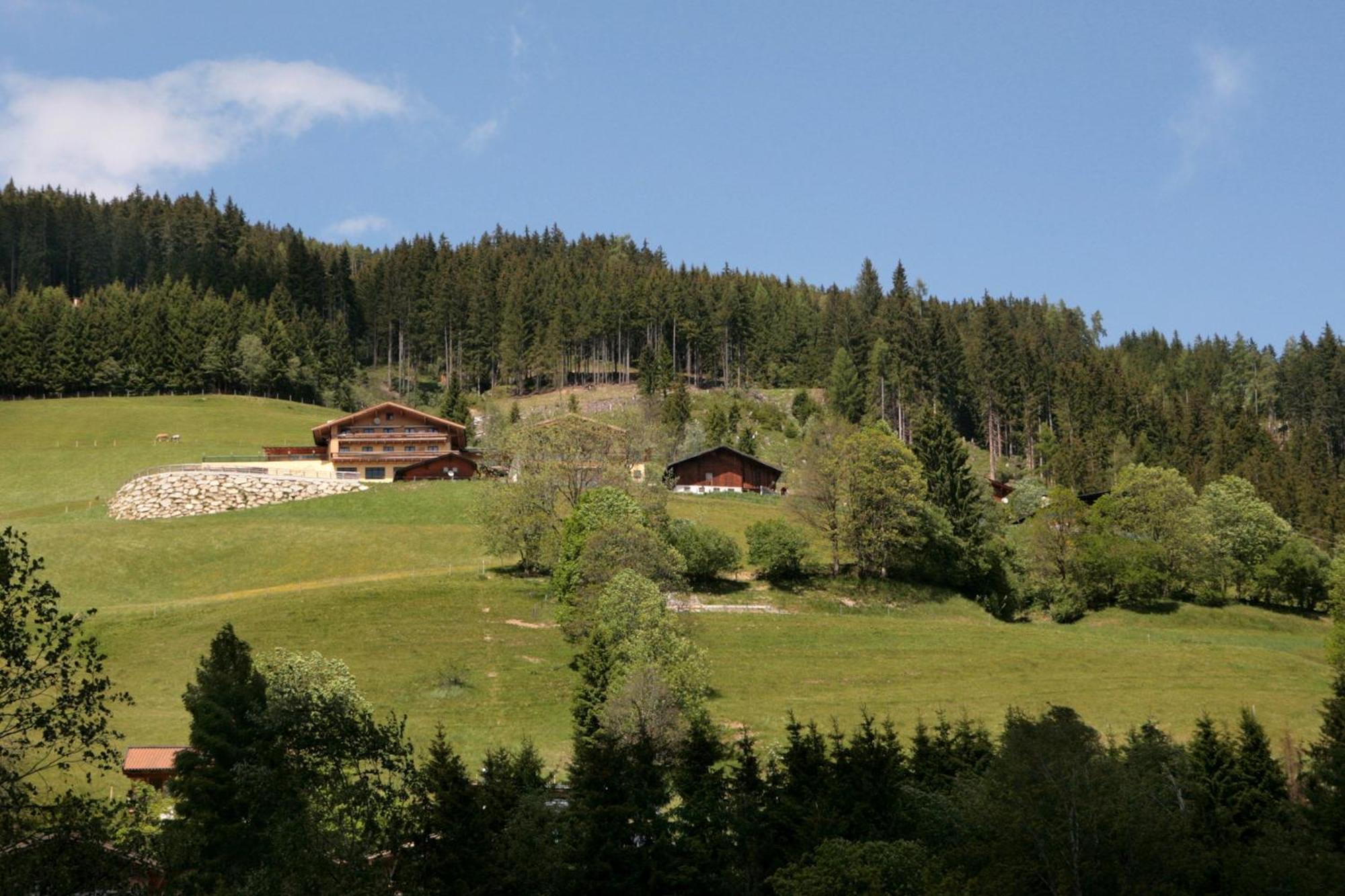 Ferienwohnung der Wildbachhof - Contactless check in Zell am See Exterior foto